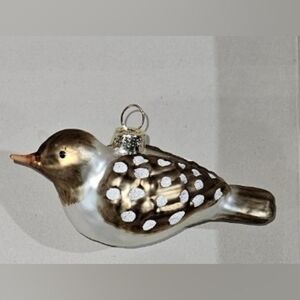 Blown Glass Bird Ornament